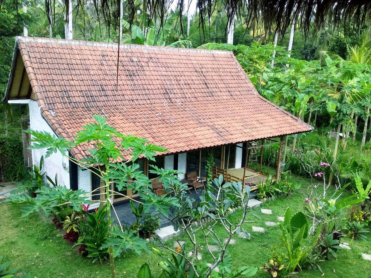 Jungle House - Surf & Stay Pulukan Dış mekan fotoğraf