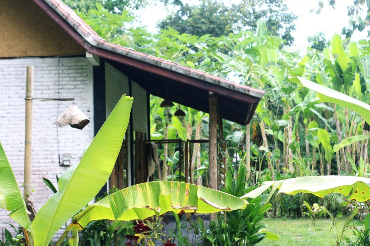 Jungle House - Surf & Stay Pulukan Dış mekan fotoğraf