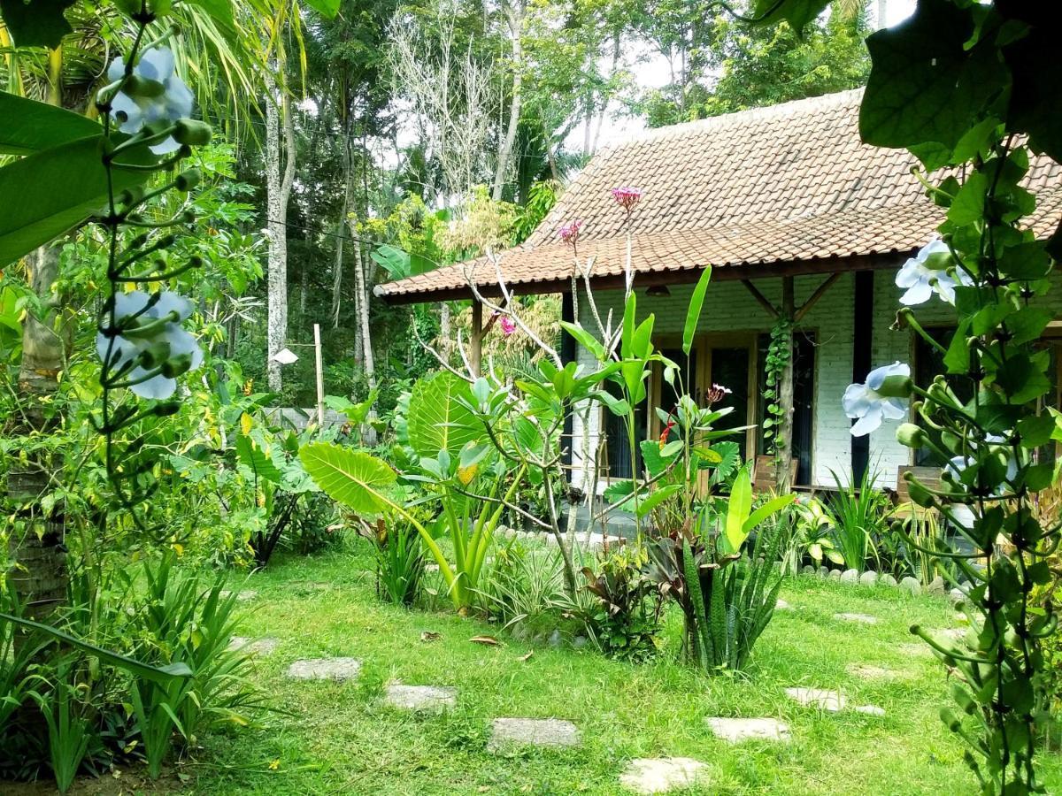 Jungle House - Surf & Stay Pulukan Dış mekan fotoğraf