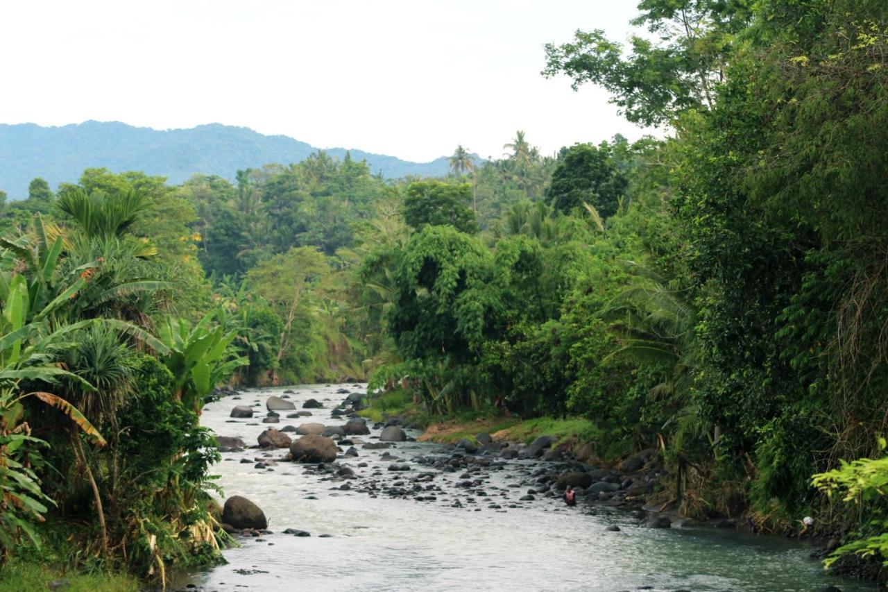 Jungle House - Surf & Stay Pulukan Dış mekan fotoğraf