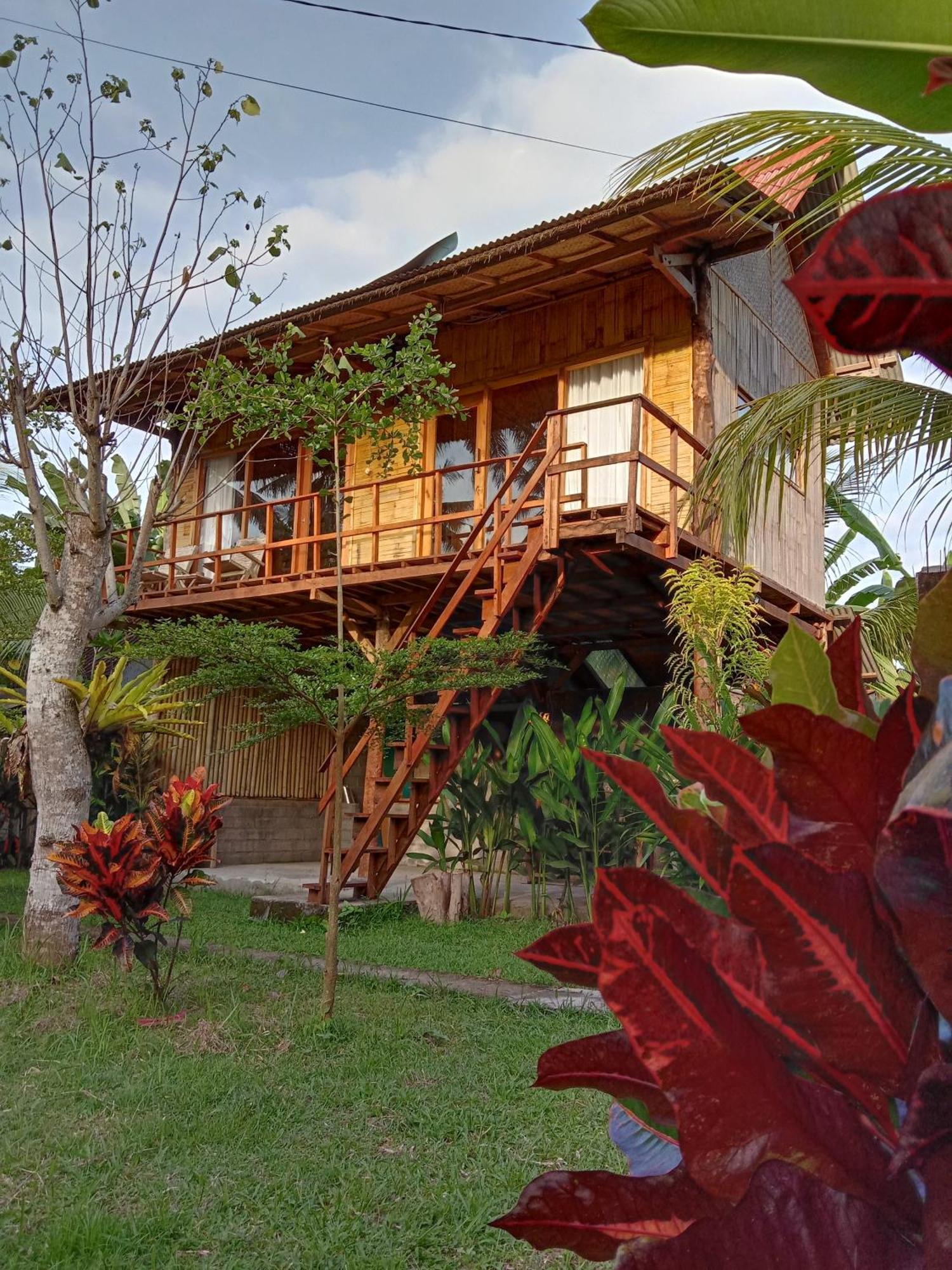 Jungle House - Surf & Stay Pulukan Dış mekan fotoğraf